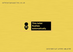 This toilet flushes automatically